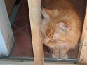 Flop en Spook  _06-07-10_39